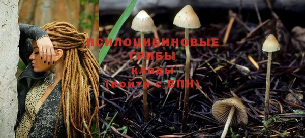 спиды Абинск